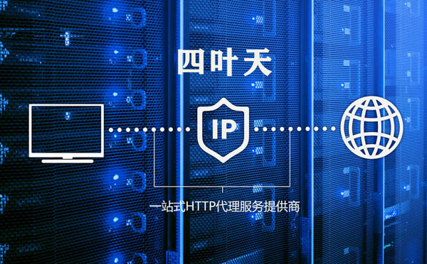 【沈阳代理IP】代理IP的主要用途和使用注意事项